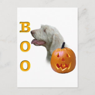 Spinone Italiano Boo Postcard