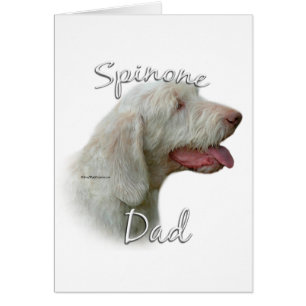 Spinone Italiano Dad 2