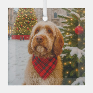 Spinone Italiano Glass Tree Decoration