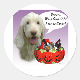 Spinone Italiano Halloween Candy Classic Round Sticker