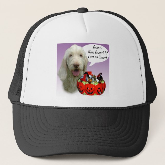 Spinone Italiano Halloween Candy Trucker Hat (Front)