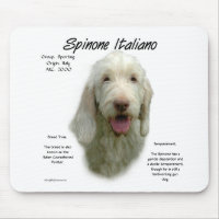 Spinone Italiano History Design