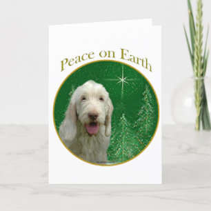 Spinone Italiano Peace Holiday Card