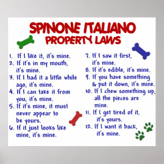 SPINONE ITALIANO PL2 POSTER