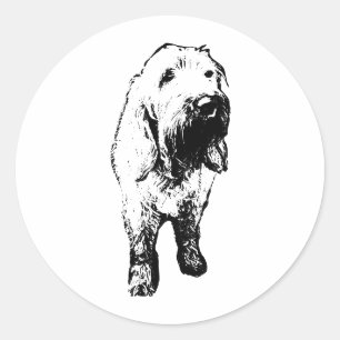 Spinone Italiano Sticker – Bold Standing Dog