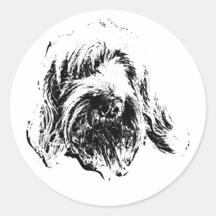 Spinone Italiano Sticker – Minimalist Dog Face