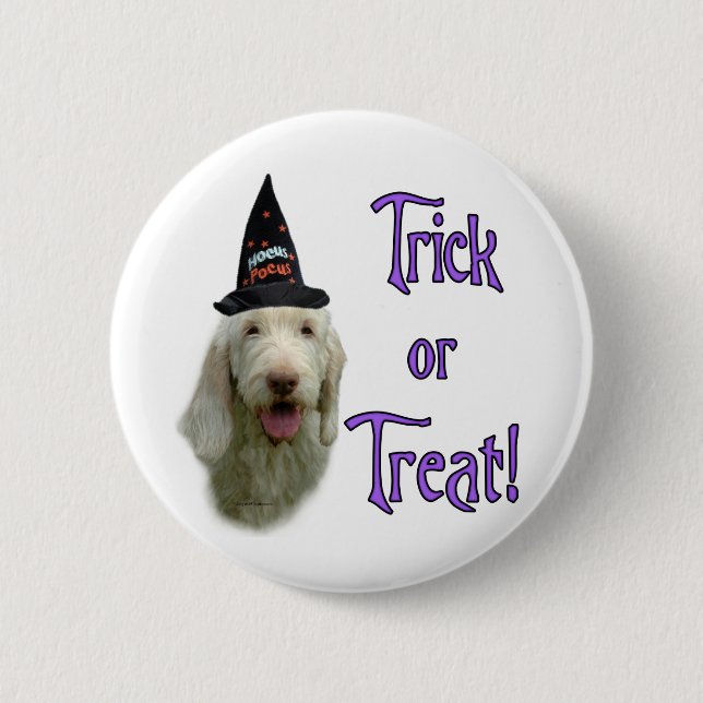 Spinone Italiano Trick 6 Cm Round Badge (Front)