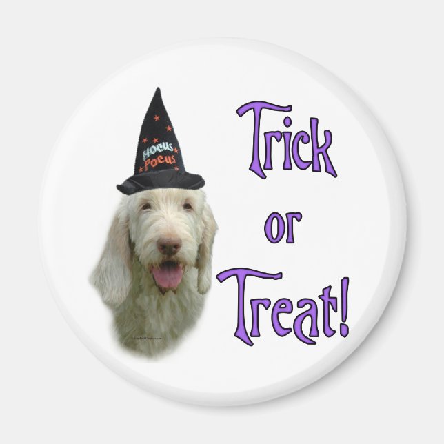 Spinone Italiano Trick Magnet (Front)