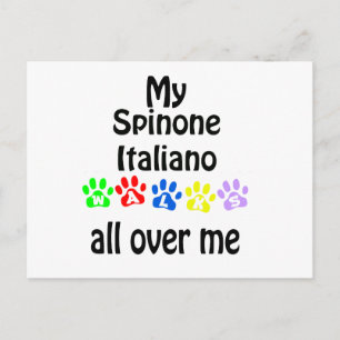 Spinone Italiano Walks Design Postcard