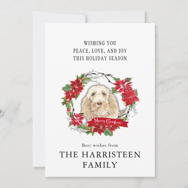 Spinone Italiano Watercolor Poinsettia Christmas Holiday Card (Front)