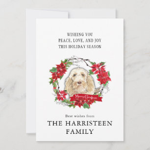Spinone Italiano Watercolor Poinsettia Christmas Holiday Card