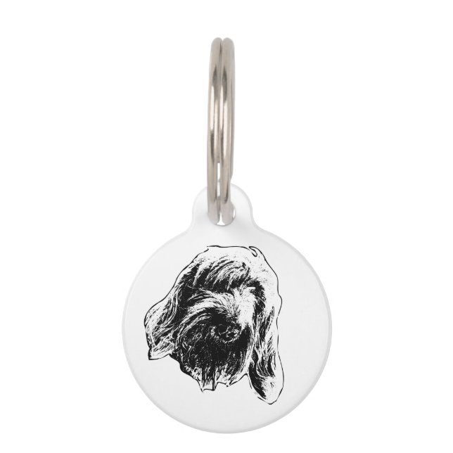 Spinone Outing Buddy Pet Tag (Front)