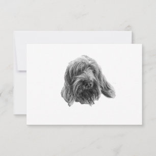 Spinone Quiet Thanks Thank You Card