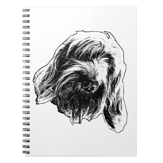 Spinone Soft Notes Notebook (Front)