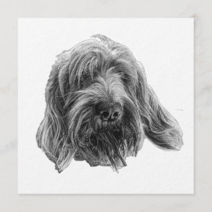 Spinone Supper Invite