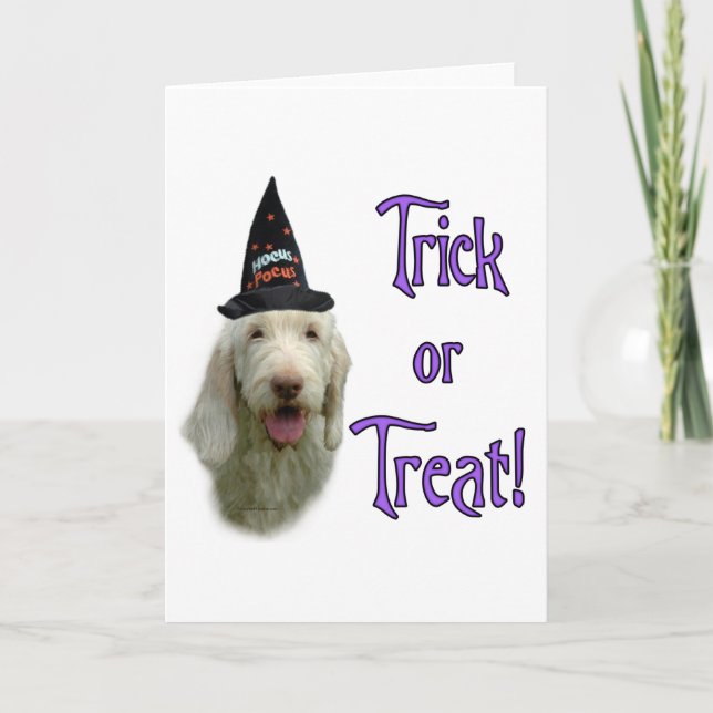 Spinone Trick Greeting Card (Front)
