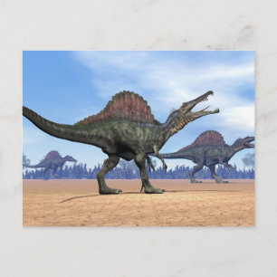 Spinosaurus dinosaurs walk - 3D render Postcard