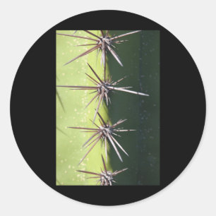 Spiny Cactus Closeup Vertical Sticker