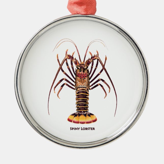 Spiny Lobster (Asian Pacific) Metal Tree Decoration (Front)