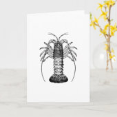 Spiny Lobster (California) Card (Yellow Flower)