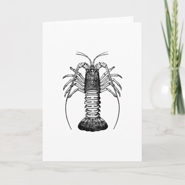 Spiny Lobster (California) Card (Front)