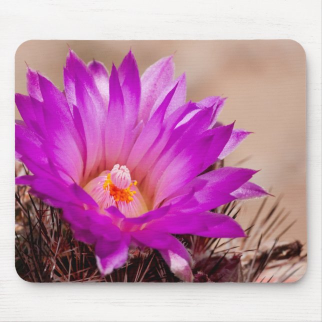Spinystar Cactus Flower Mousepad (Front)