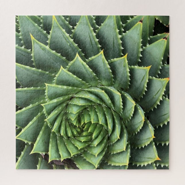 Spiral Aloe Fibonacci Jigsaw Puzzle (Vertical)