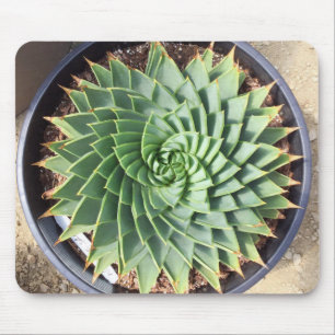 Spiral Aloe Mousepad