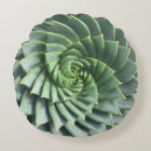 Spiral Aloe Polyphylla Succulent
