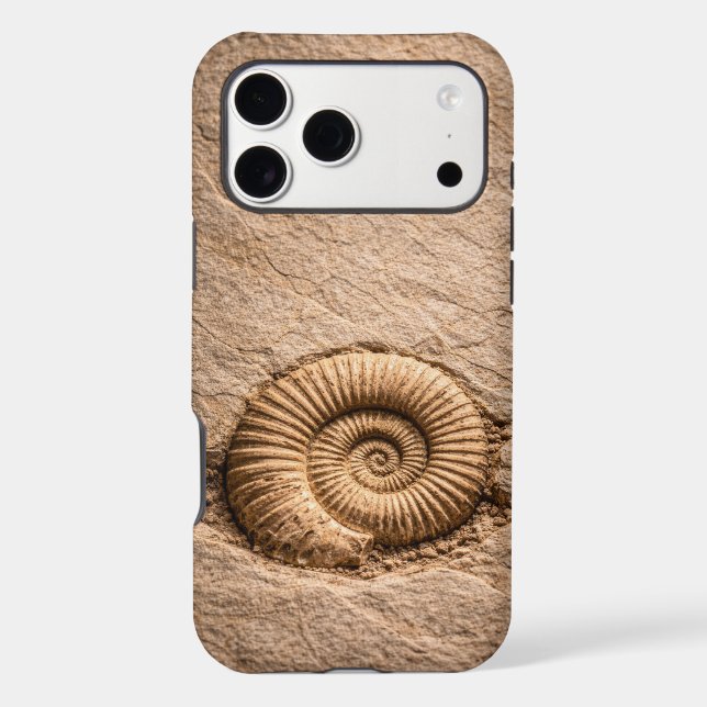 Spiral Ammonite Fossil (Back)