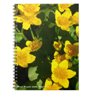 Spiral Bound Notebook 8x11" Marsh Marigold