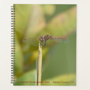Spiral-bound Planner with Dragonfly Photo