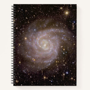 Spiral Galaxy IC 342 Notebook