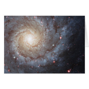 Spiral Galaxy M74