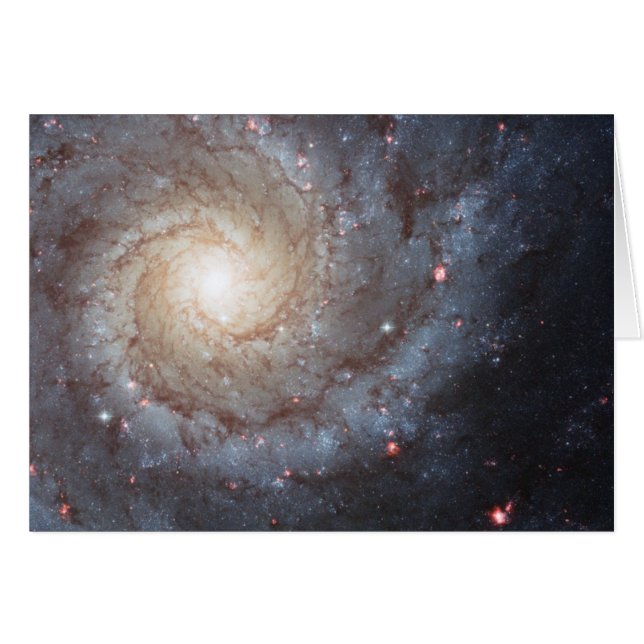 Spiral Galaxy M74 (Front Horizontal)