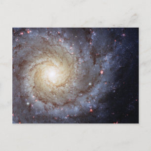 Spiral Galaxy M74 (Hubble) Postcard