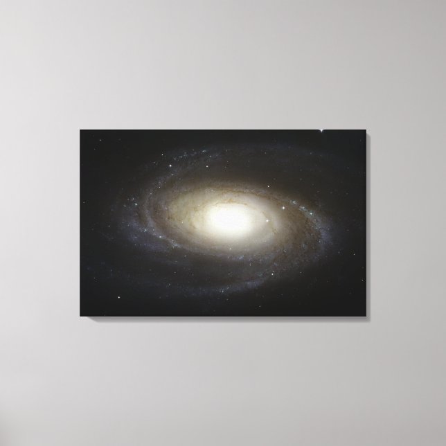 Spiral Galaxy M81 Canvas Print (Front)