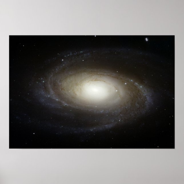 Spiral Galaxy M81 Poster (Front)