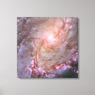 Spiral Galaxy M83, Ablaze With Star Formation. Canvas Print