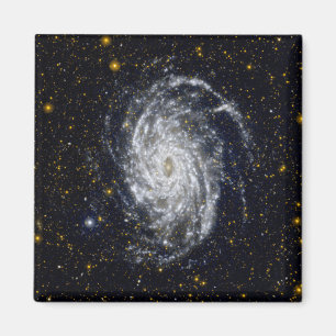 Spiral Galaxy Magnet