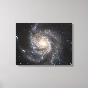 Spiral galaxy Messier 101 Canvas Print
