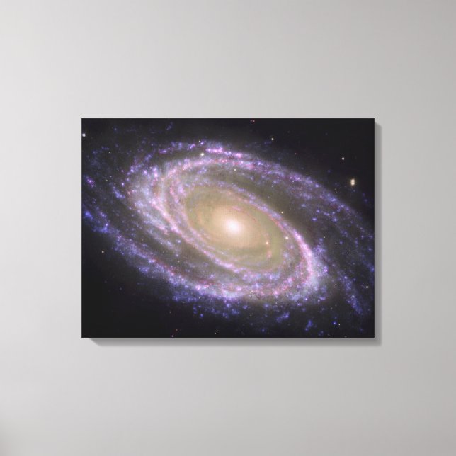 Spiral galaxy Messier 81 Canvas Print (Front)