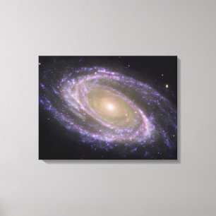 Spiral galaxy Messier 81 Canvas Print
