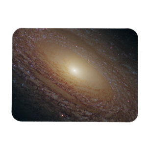 Spiral Galaxy Ngc 2841 Magnet