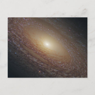 Spiral Galaxy NGC 2841 Postcard