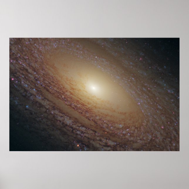 Spiral Galaxy Ngc 2841 Poster (Front)