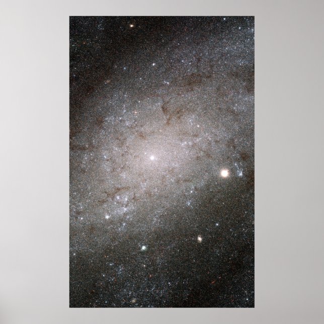 Spiral galaxy NGC 300. Poster (Front)