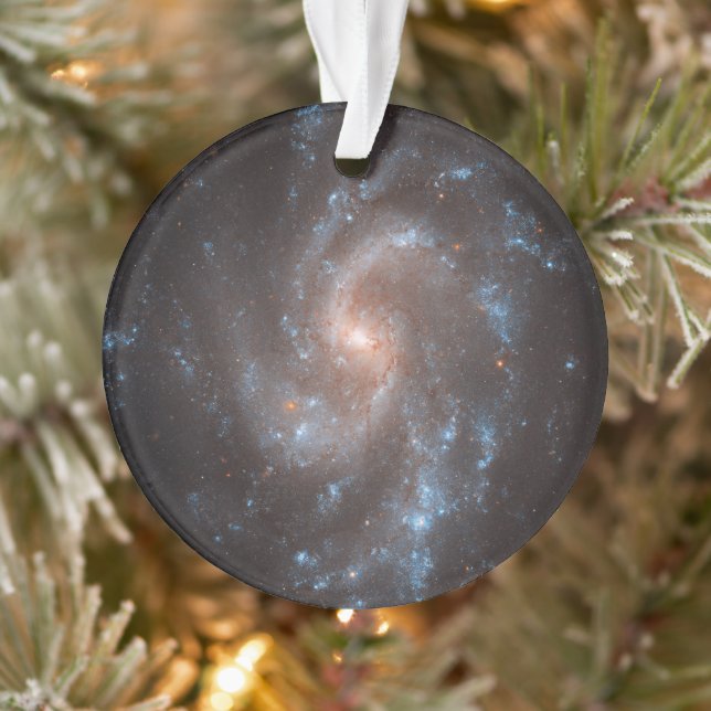 Spiral Galaxy Ngc 5584 Ornament (Tree)