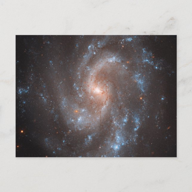 Spiral Galaxy Ngc 5584 Postcard (Front)