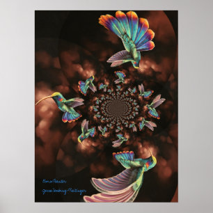 Spiral Hummingbird Poster